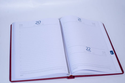 AGENDA DIARIA FECHADA NK GERENCIAL